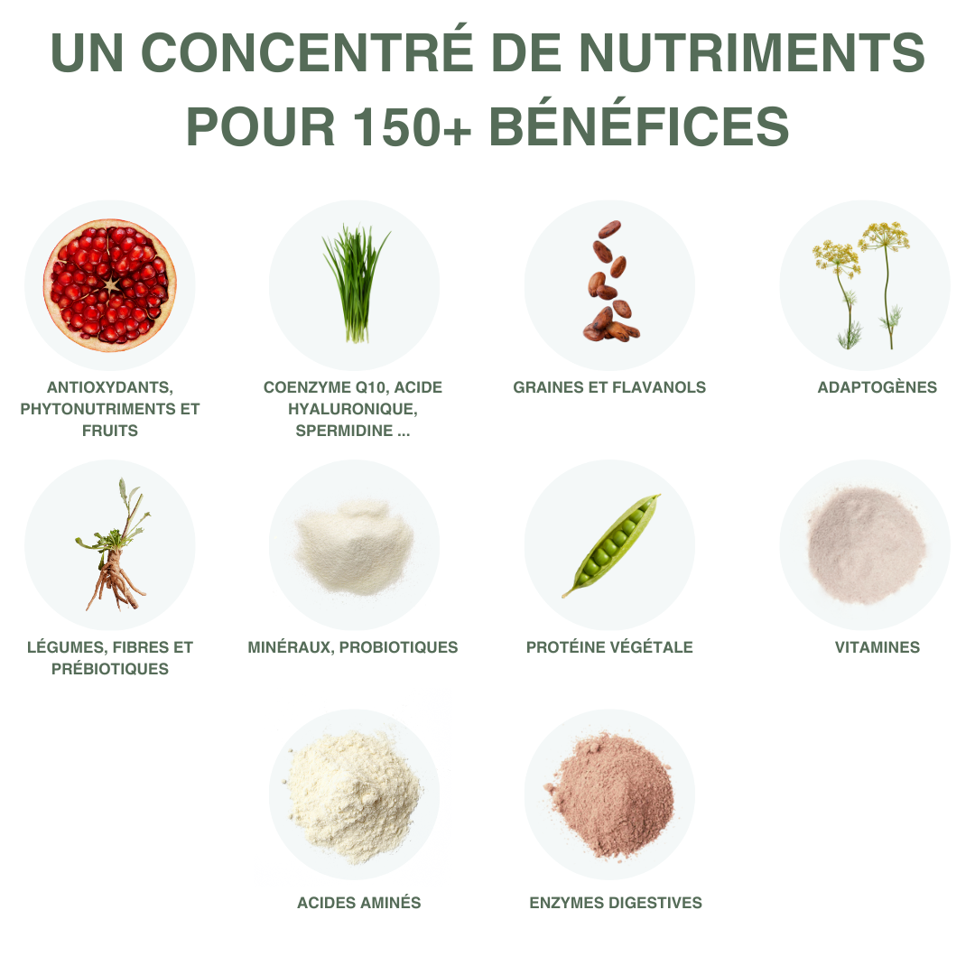 AY - By Ayurv'Energy