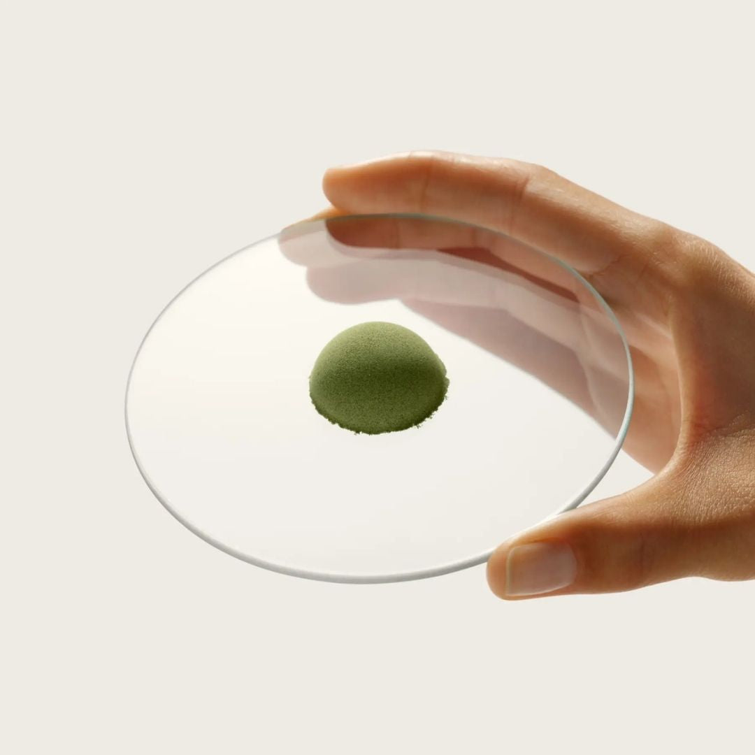 Le Spray Drying : l’extraction d’excellence, Préserver la puissance des plantes, Concentrer l’essentiel.